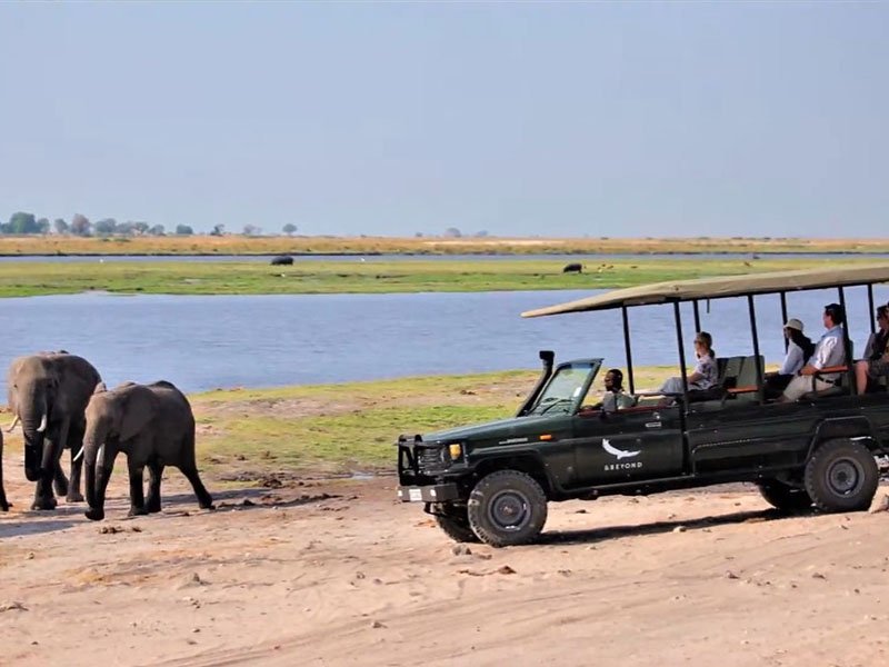 chobe river , best place near chobe national park 