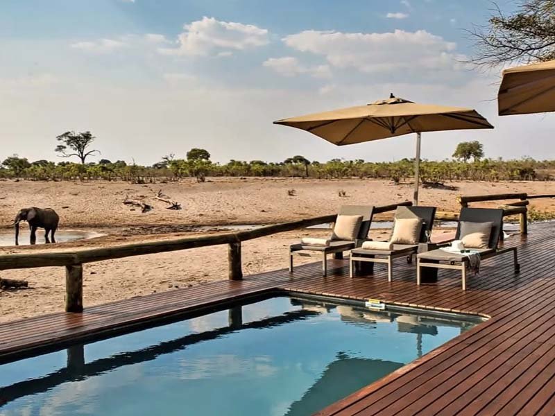 savute lodge, best place near chobe national park