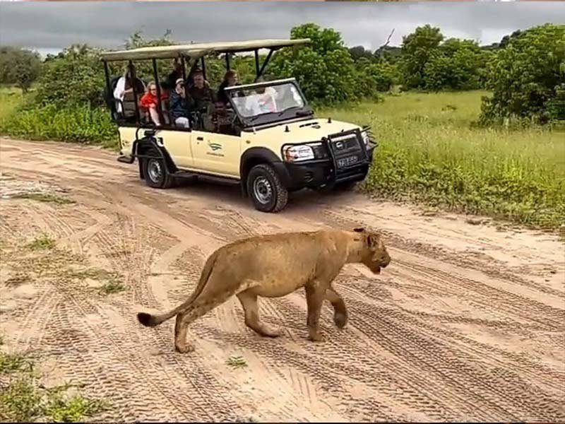 best place near chobe national park