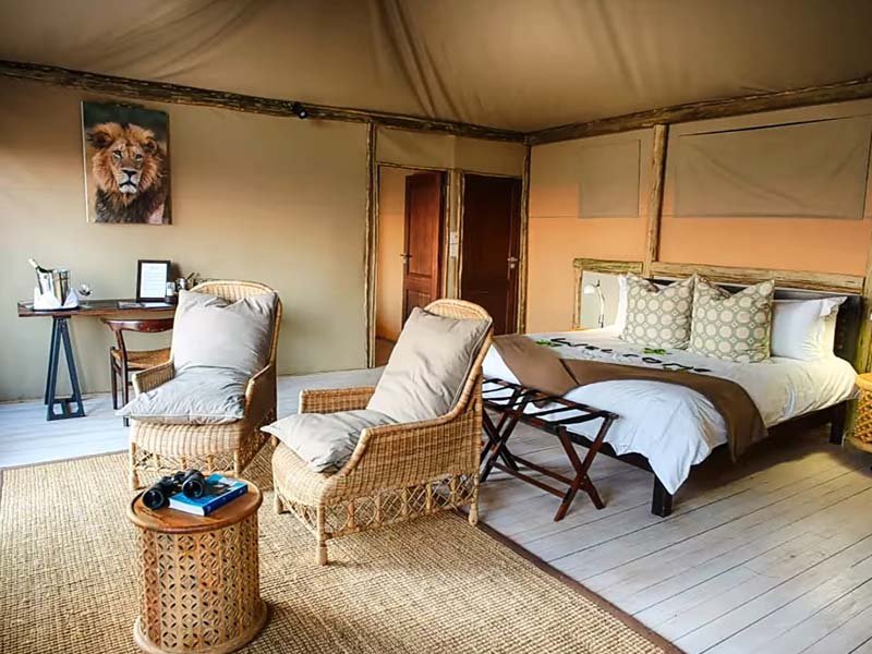 savuti lodge near chobe national park