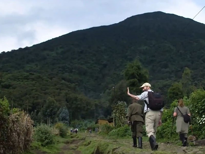 goriila trekking in rwanda 