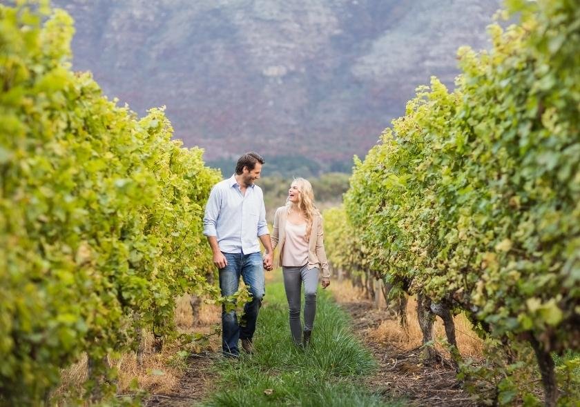visit vineyards during your South African Safari