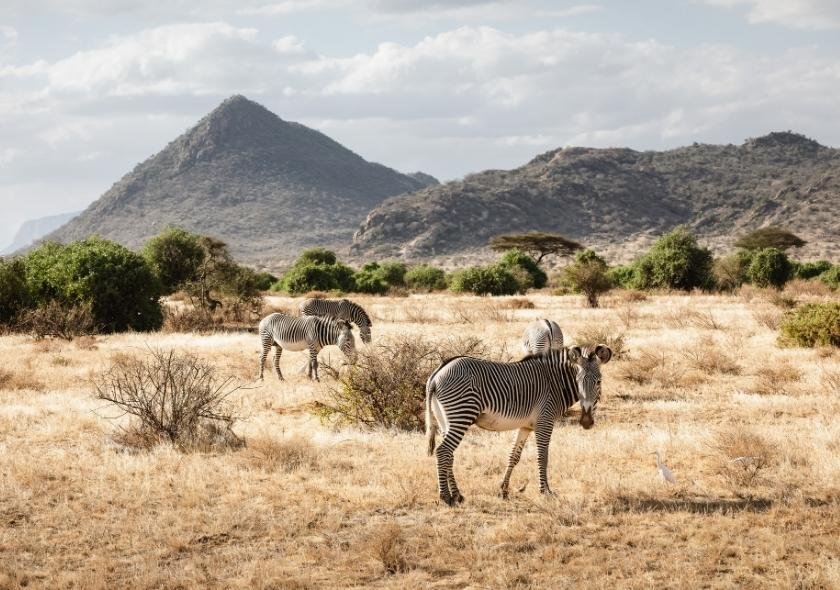 Samburu National Reserve, Kenya is an African Safari Destinations