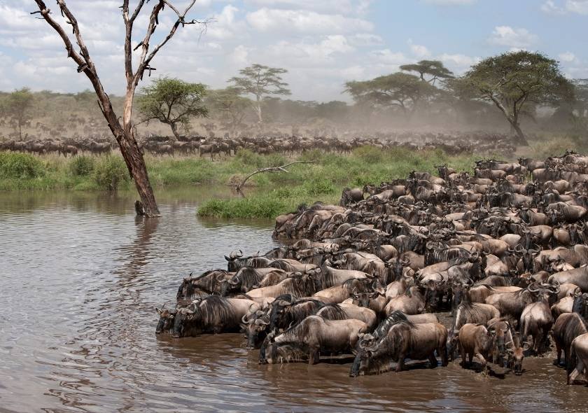 What You Didn’t Know About The Great Migration