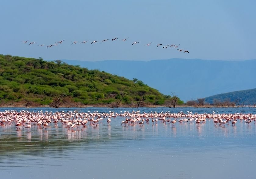 Lake Nakuru is a Popular Kenya Safari Tours Attractions