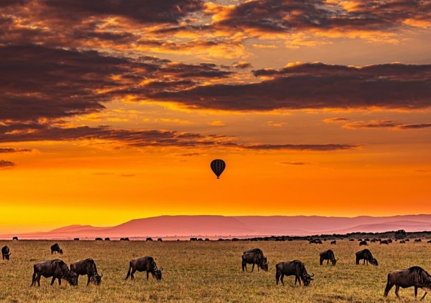 Balloon safari is a Popular Kenya Safari Tours Activity
