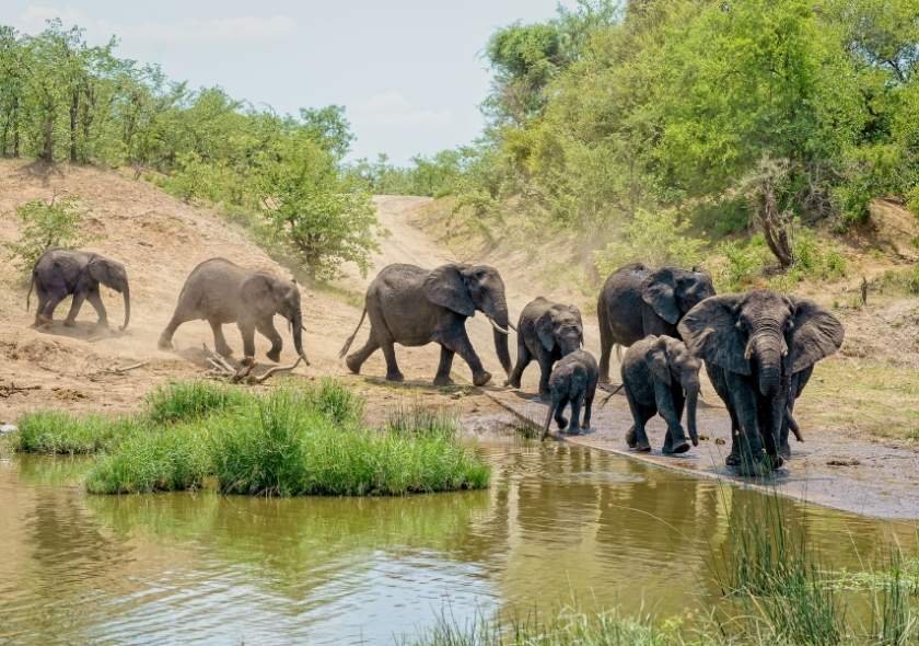 Best Of South African Parks