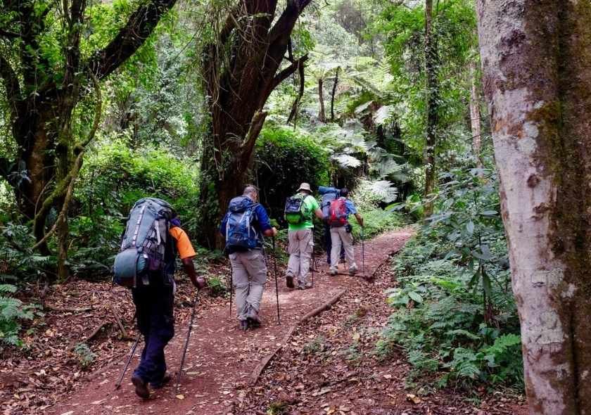 The Complete Guide to Kilimanjaro’s Lemosho Route: Everything You Need to Know