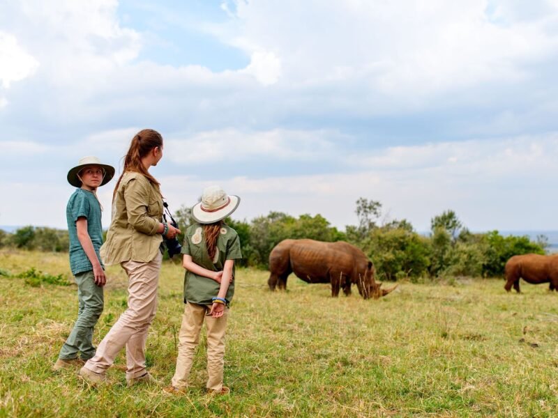 The Best Time for a Family Safari in East Africa & for Spotting The Big 5