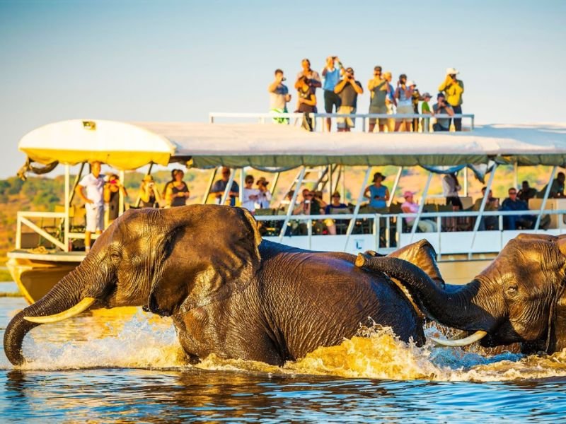 What to pack for a family safari - Great Migration