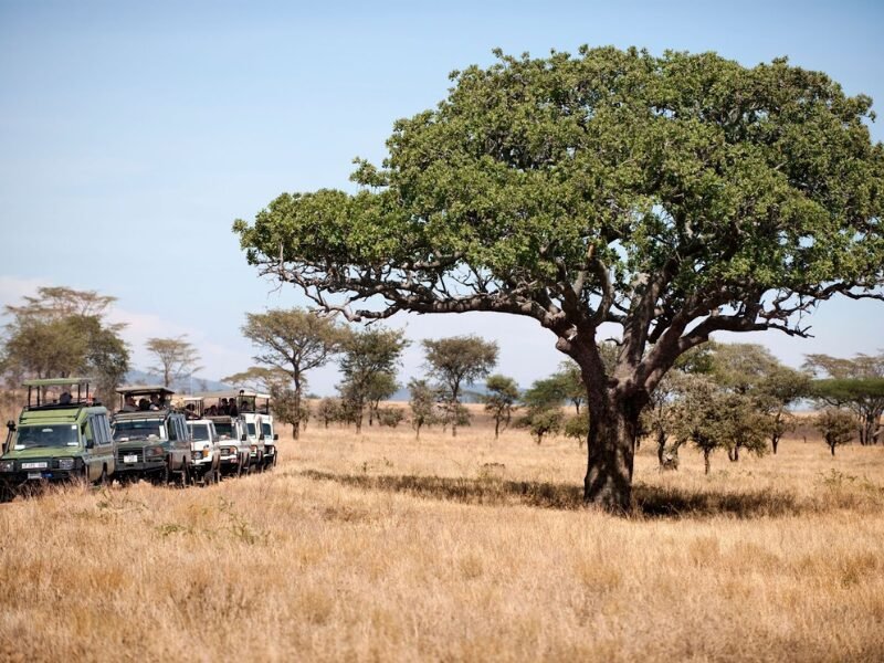 Forget those theme parks—East Africa is nature’s playground