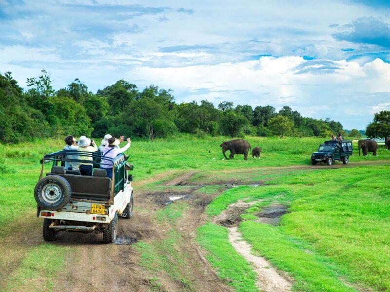 Book Early, Save Big: The Benefits of Planning Your  Safari Ahead