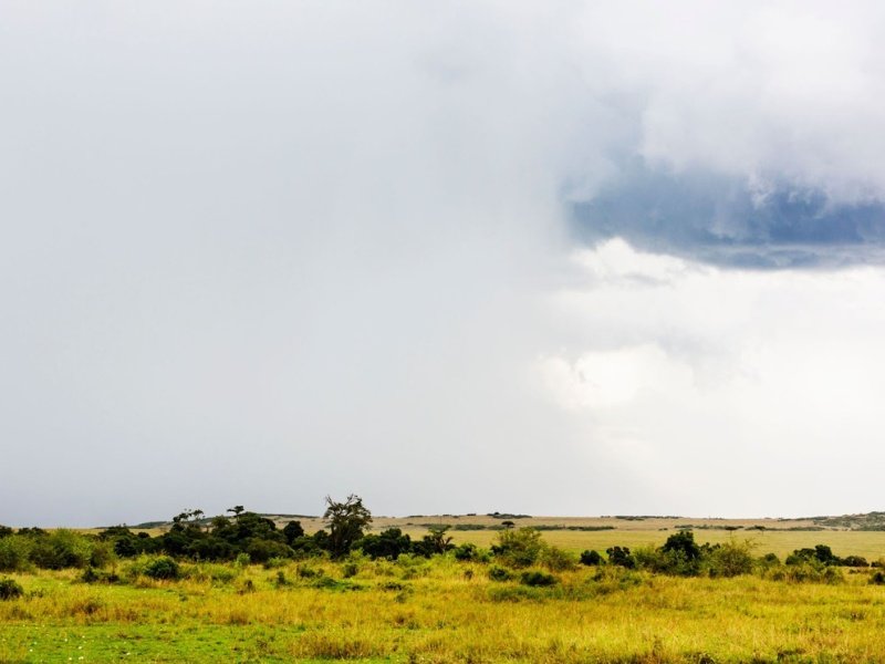 Reasons to Book Green Season Safari East Africa