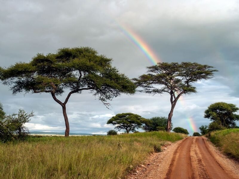As a general rule, East Africa is warm (and dry) throughout the year. But various countries (and even regions within those countries) experience different climates that need to be considered before planning a visit—and we’ll guide you about that today.