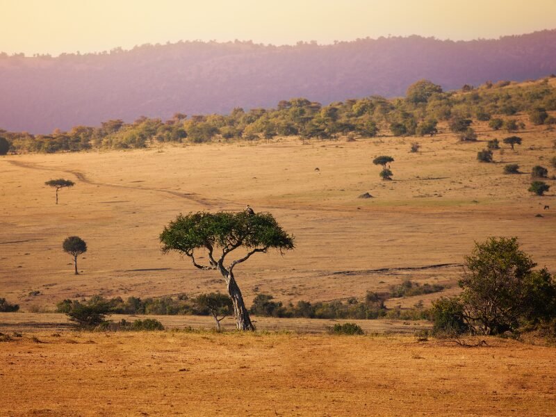 Beyond the Big Five,  Discovering Kenya's Hidden Gems and Must-Visit Attractions
