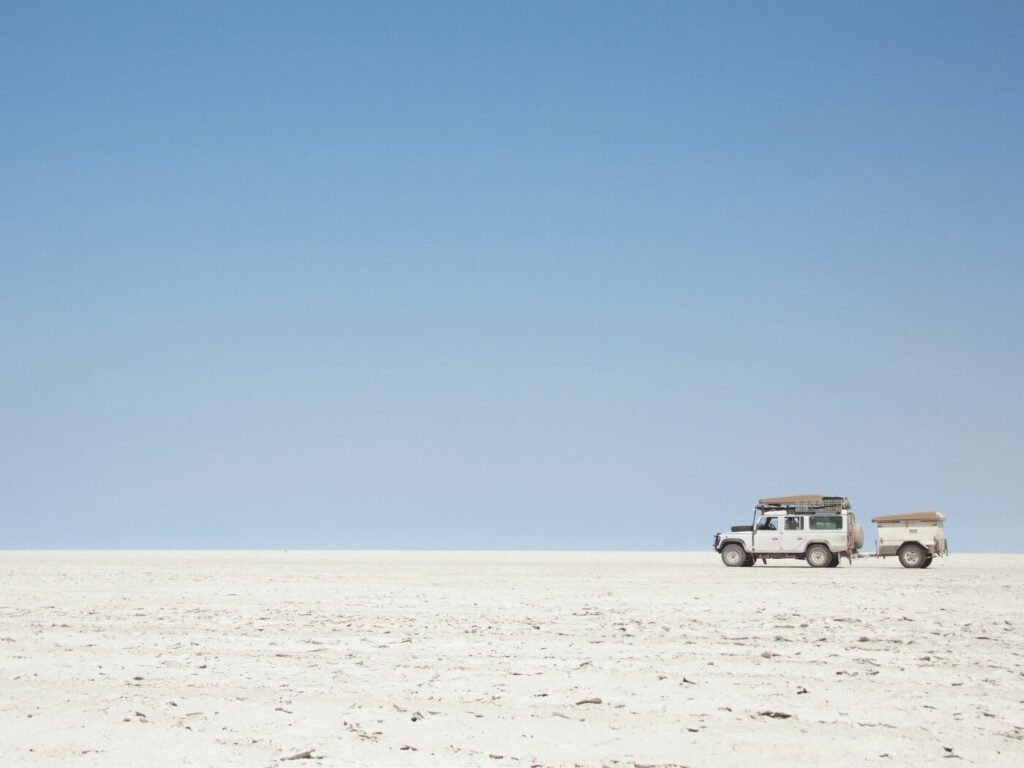 Makgadikgadi Pans National Park offers a surreal, otherworldly experience. These expansive salt flats are remnants of an ancient lake and provide a dramatic backdrop for unique safari adventures.
